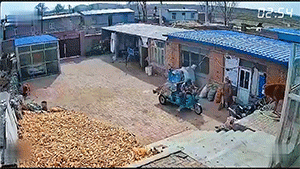 第六波：监控拍下笑抽的一幕！