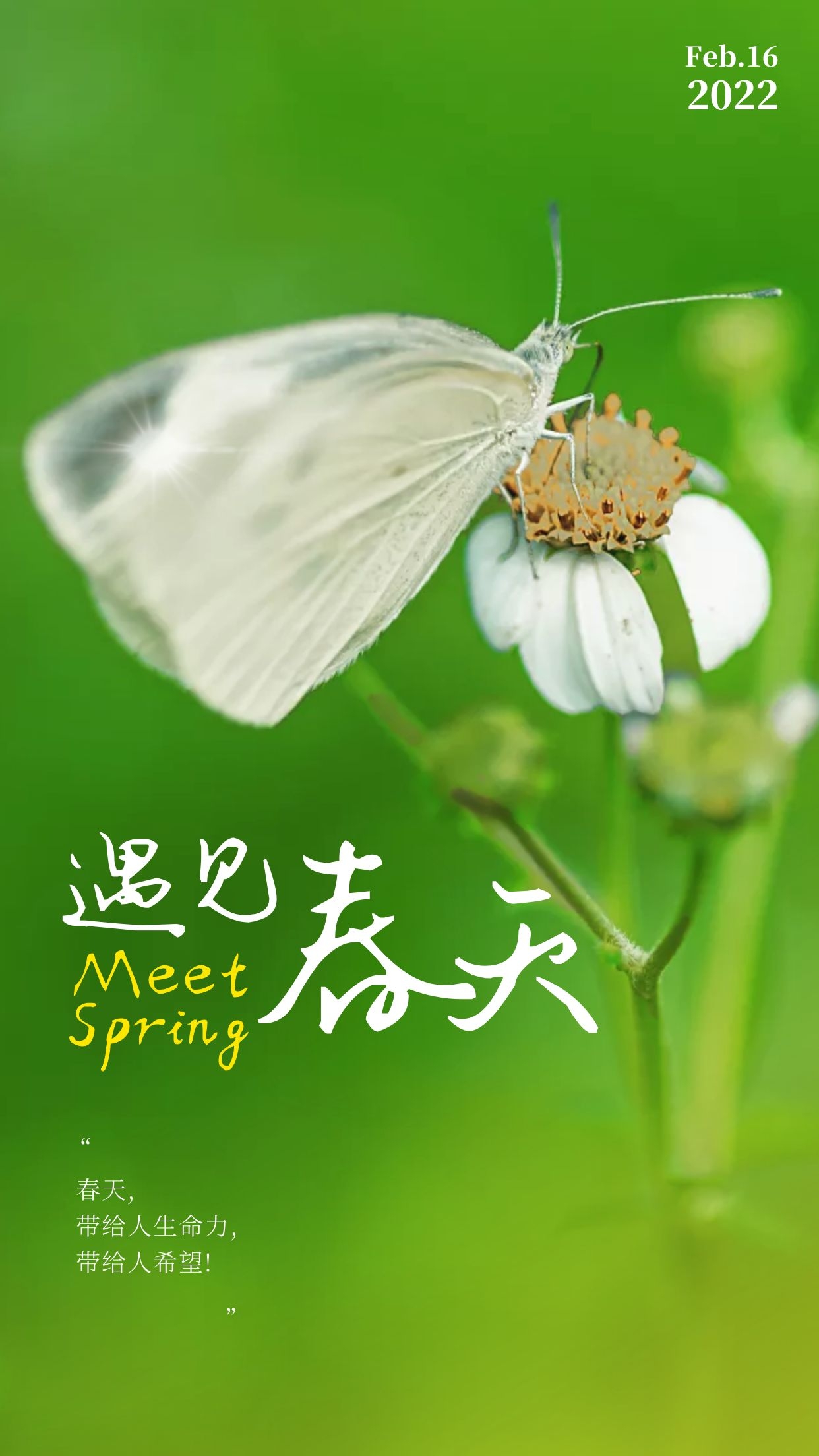 正月十六早安图片正能量语录，星光不问赶路人，时光不负有心人
