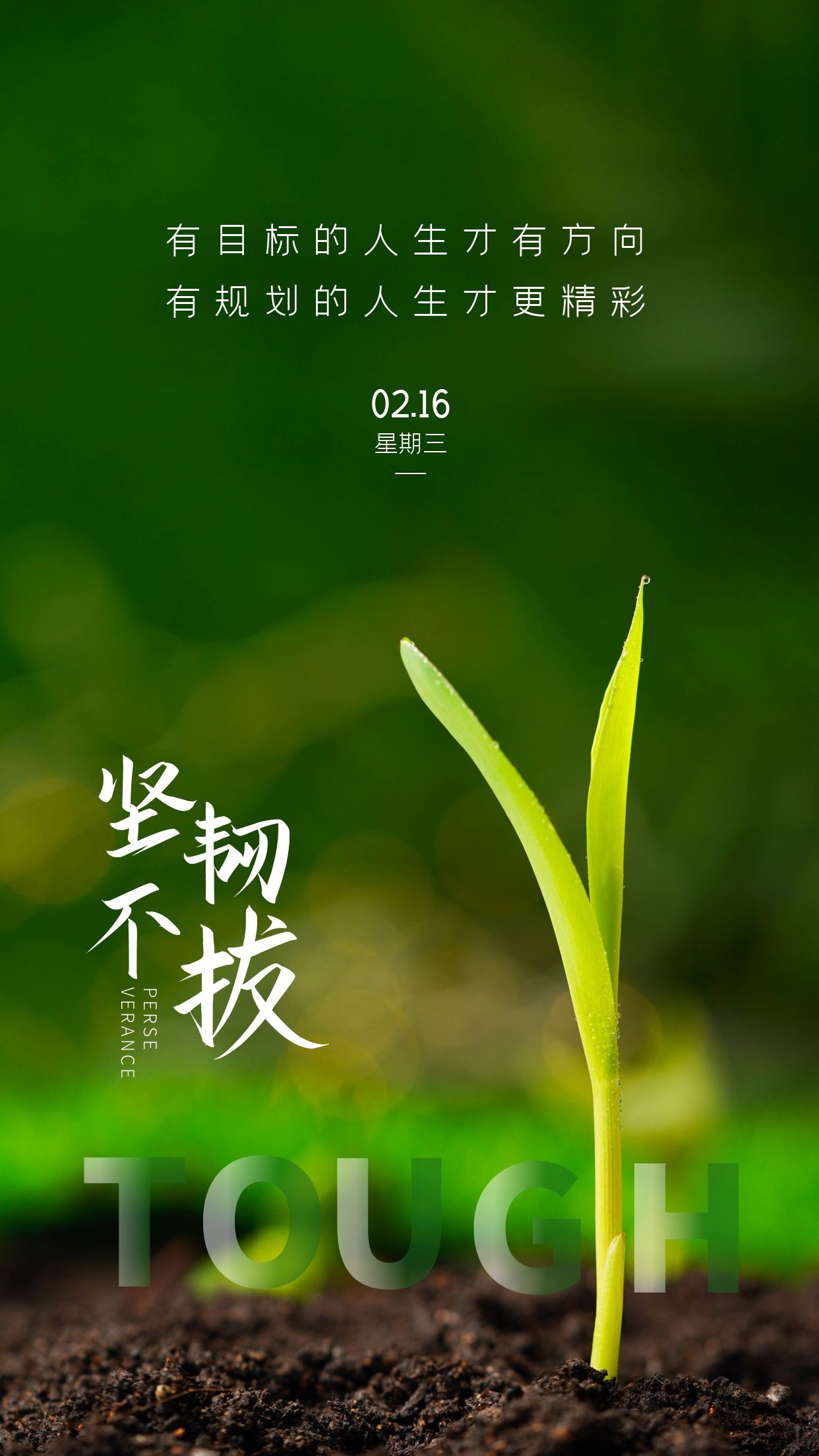正月十六早安图片正能量语录，星光不问赶路人，时光不负有心人