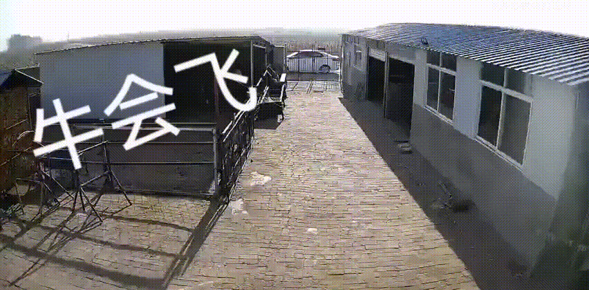 搞笑动图：这才叫压弯！
