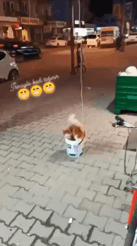 搞笑GIF:开挂的民族!