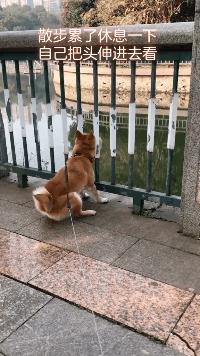 搞笑GIF:开挂的民族!