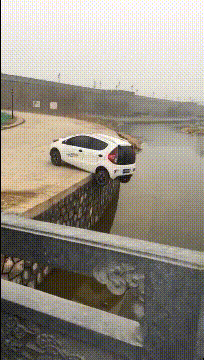 搞笑GIF：这狗子是怎么活下来的？