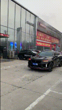 搞笑GIF：这狗子是怎么活下来的？