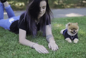 笑晕的GIF：这小子，平时没少跟着他爸一起看啊！