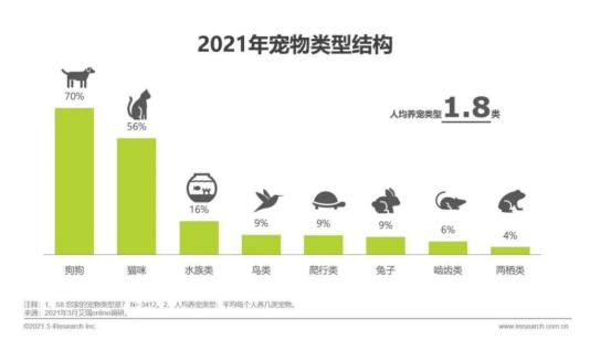 Z世代的异宠热：在沉迷和乱序中火爆？-锋巢网