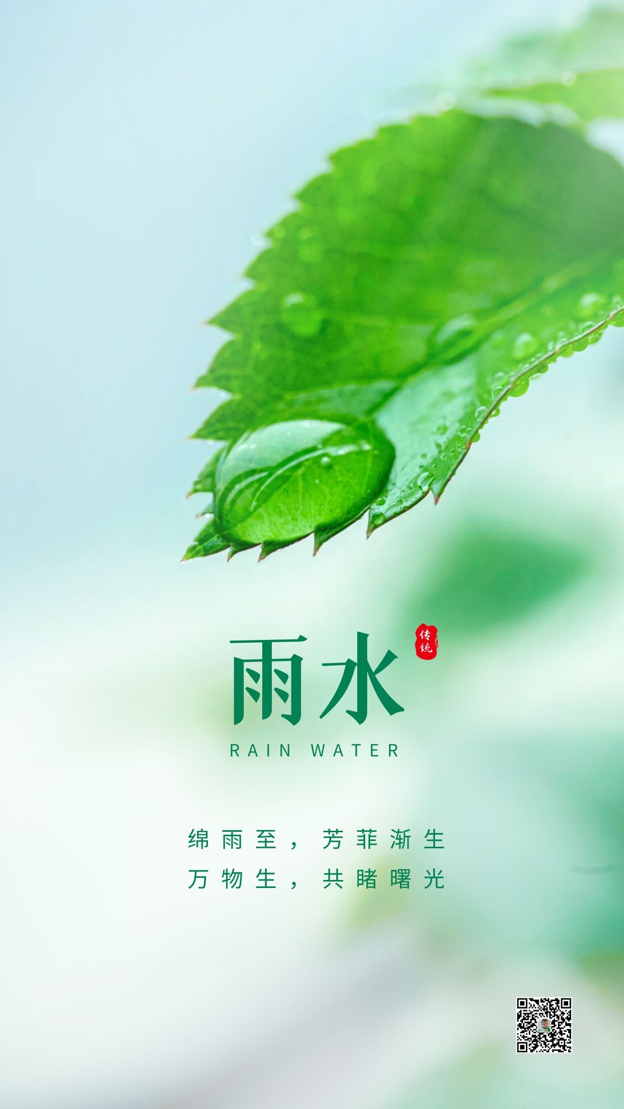 雨水节气问候图图片