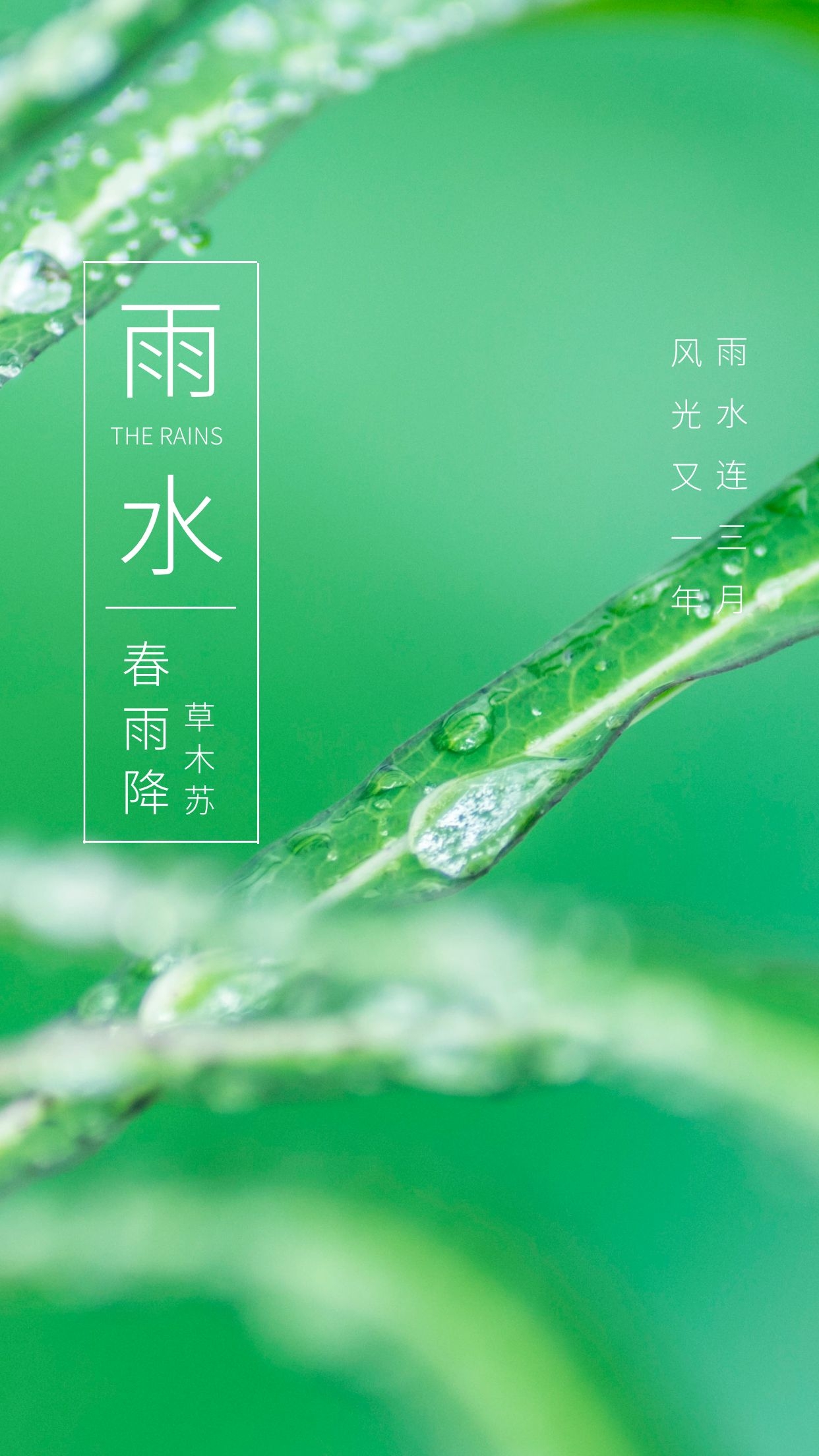 雨水节气图片配图高清唯美大全，雨水文案句子，雨水祝福语问候语