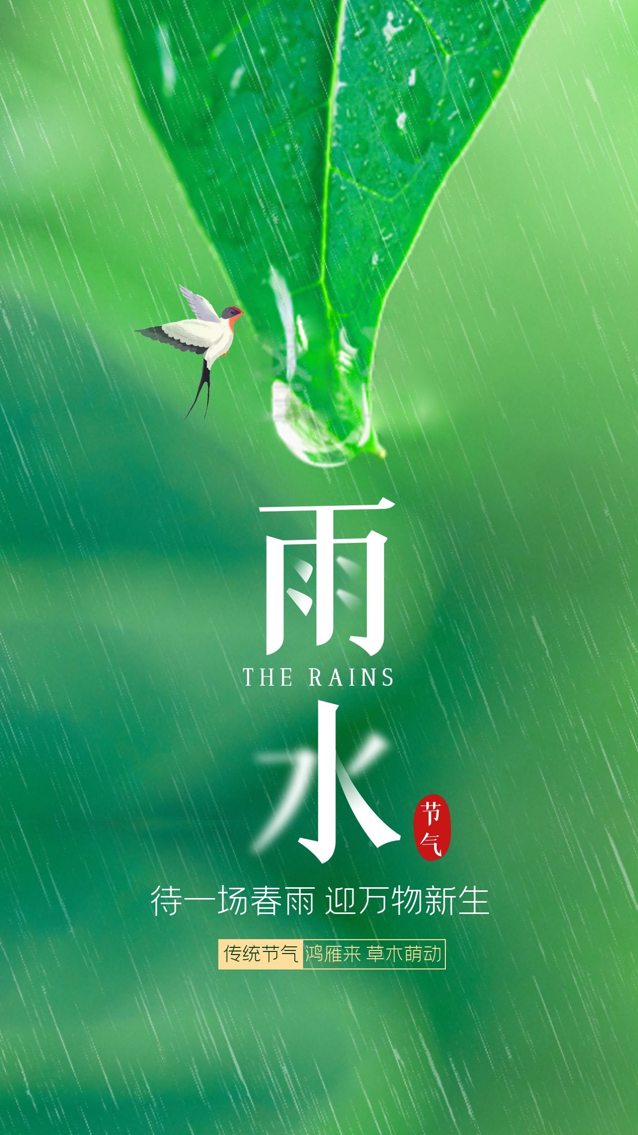 雨水节气问候图图片