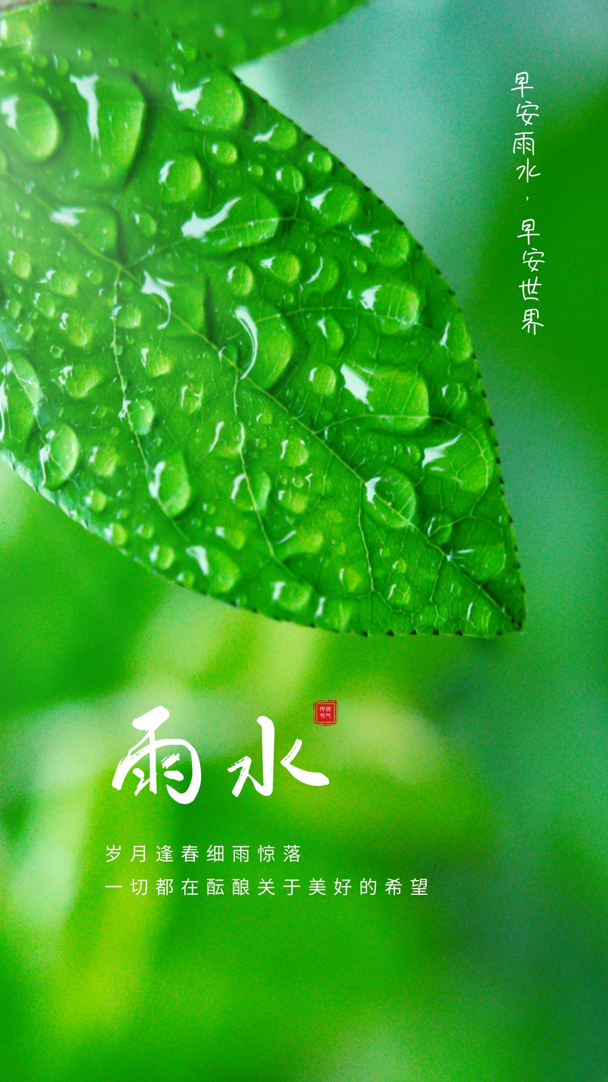 雨水节气图片配图高清唯美大全，雨水文案句子，雨水祝福语问候语