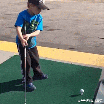 好笑的动态图：狗子一般是怎么吸猫的！
