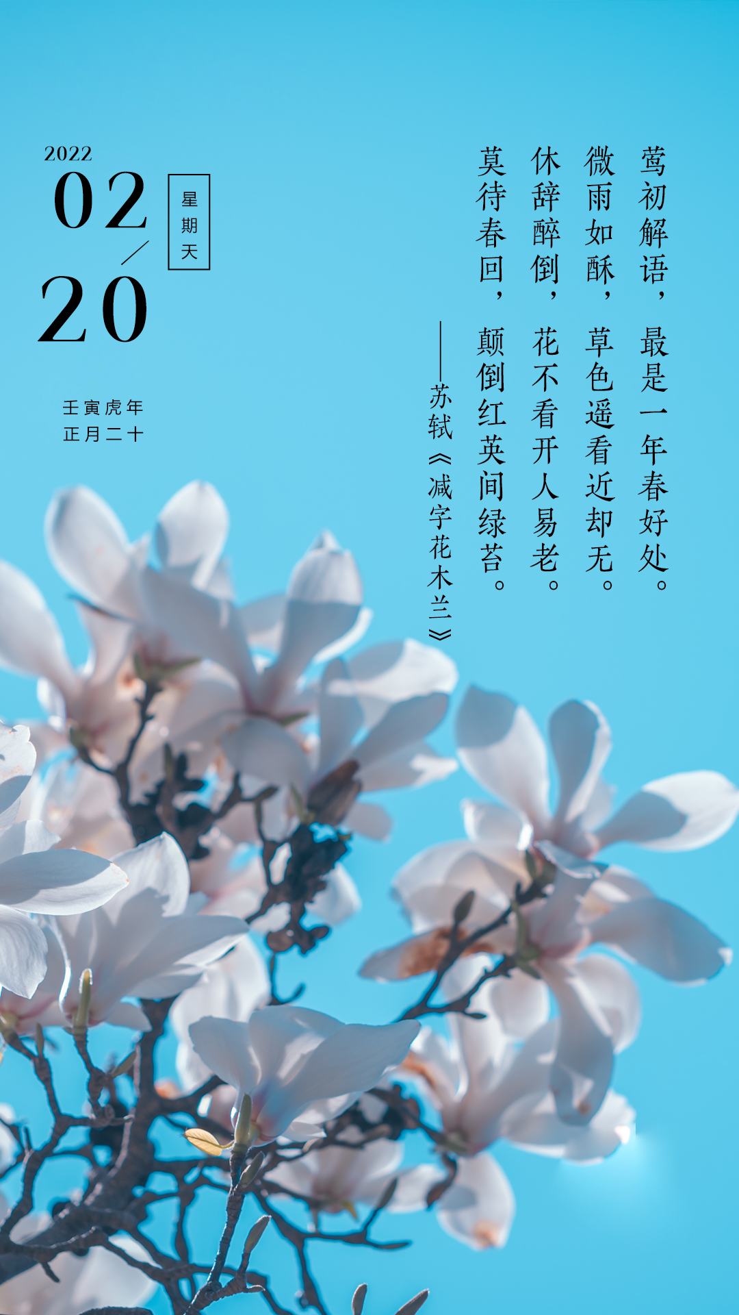 正月二十早安心语励志语录，愿梦想的尽头，始终有星光等候