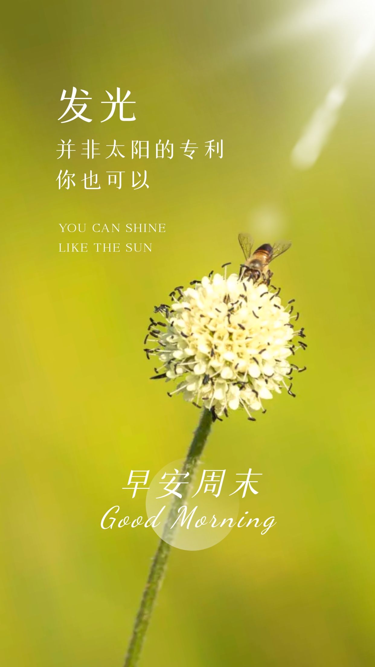 正月二十早安心语励志语录，愿梦想的尽头，始终有星光等候