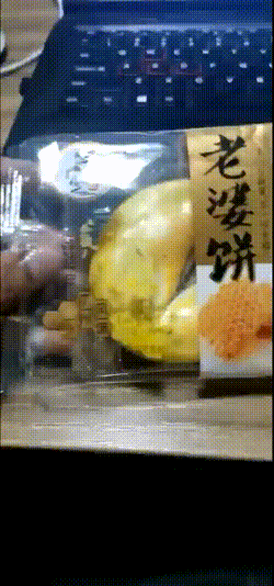 搞笑GIF：冰上遛狗，不小心变成狗溜你