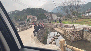 搞笑GIF：冰上遛狗，不小心变成狗溜你
