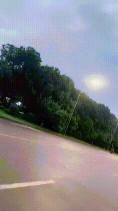 搞笑GIF：冰上遛狗，不小心变成狗溜你