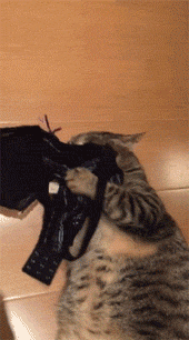 搞笑GIF：冰上遛狗，不小心变成狗溜你