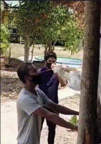 搞笑GIF：冰上遛狗，不小心变成狗溜你