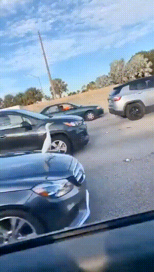 搞笑GIF：冰上遛狗，不小心变成狗溜你