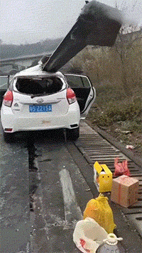 精彩GIF：新婚要泼一床水？