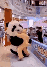 精彩GIF：新婚要泼一床水？