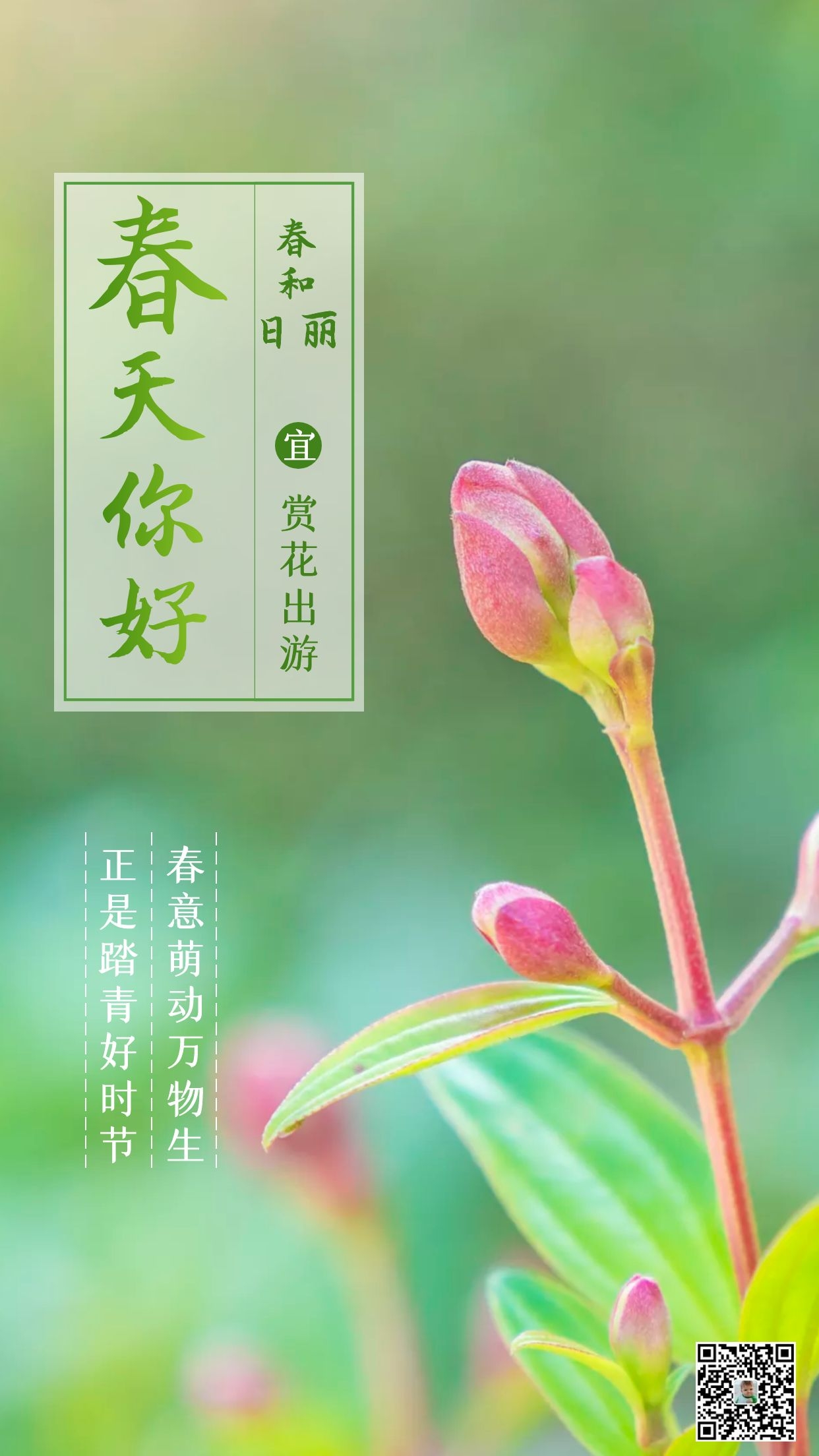 正月二十一早安心语图片正能量句子，坚强向上，靠近阳光