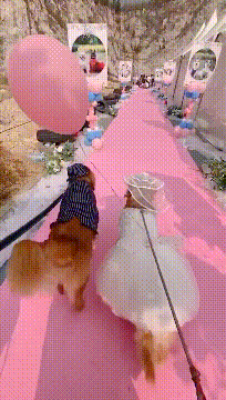GIF图片：广东人，穿羽绒服的季节还喜欢穿拖鞋！