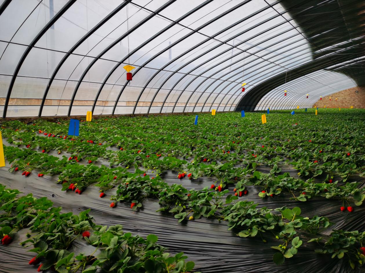 鹤壁市淇滨区：“三强化一评价”，统筹推进脱贫攻坚与成果巩固