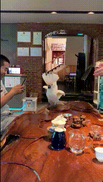 搞笑动态图：心疼轮滑！