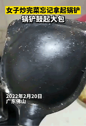 爆笑动态图：这个该死的主人，每次非要这样整我