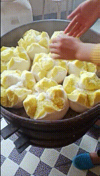 爆笑动态图：这个该死的主人，每次非要这样整我