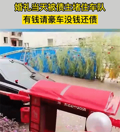 爆笑动态图：这个该死的主人，每次非要这样整我
