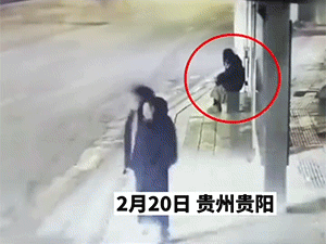 爆笑动态图：这个该死的主人，每次非要这样整我