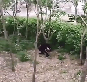 社死现场第二波GIF动图：一个一个都是大写的尴尬！