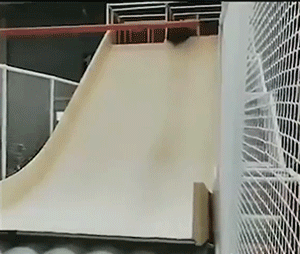 社死现场第二波GIF动图：一个一个都是大写的尴尬！