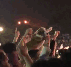 哈哈哈gif：动作连贯，一气呵成，精准打ji