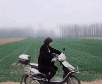 搞笑动图：狗子说：你比我还狗