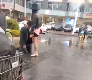 搞笑动图：狗子说：你比我还狗