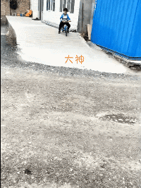 搞笑动图：狗子说：你比我还狗