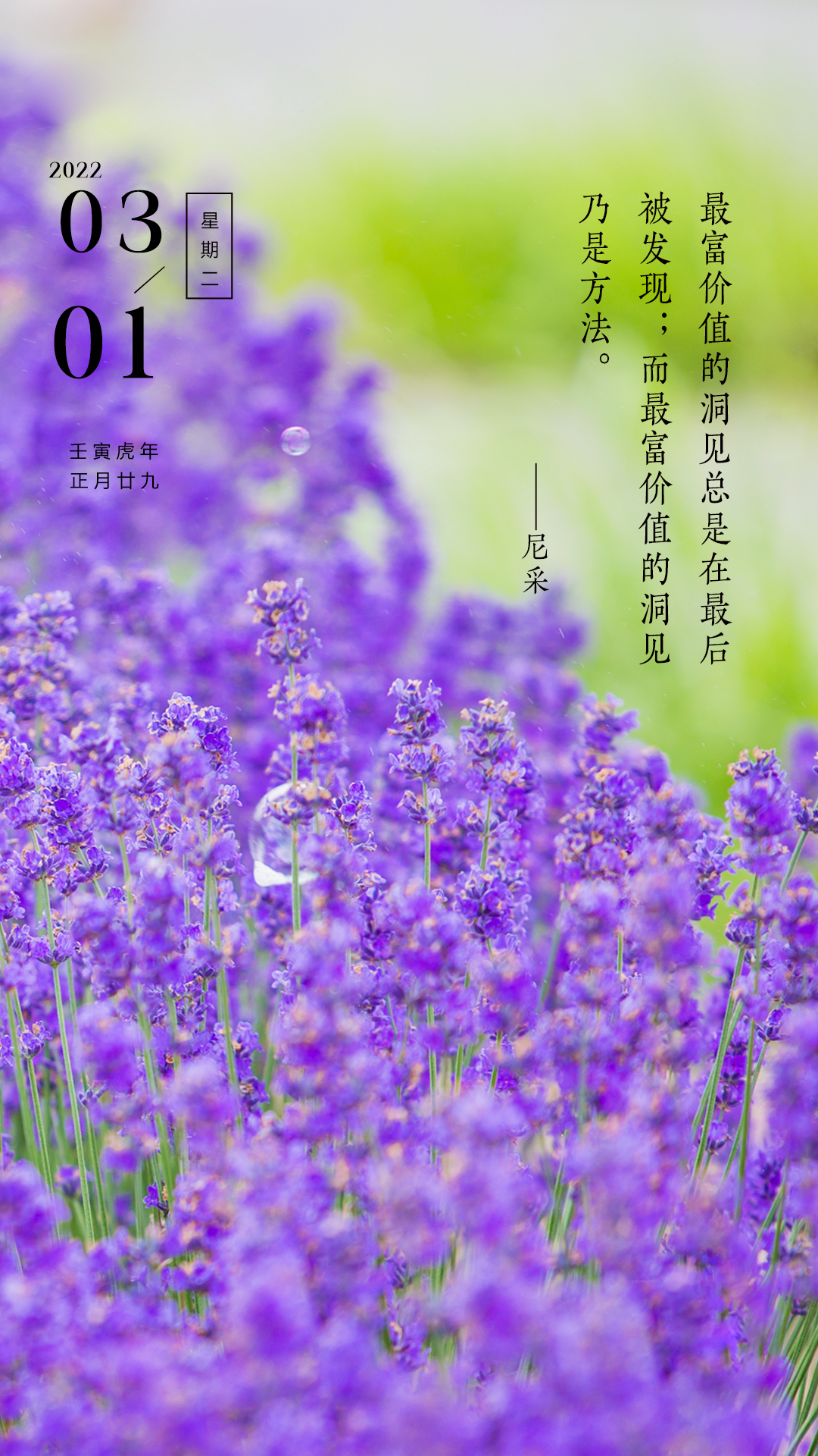 三月你好图片配图唯美高清带字，适合3月的文案简短句子