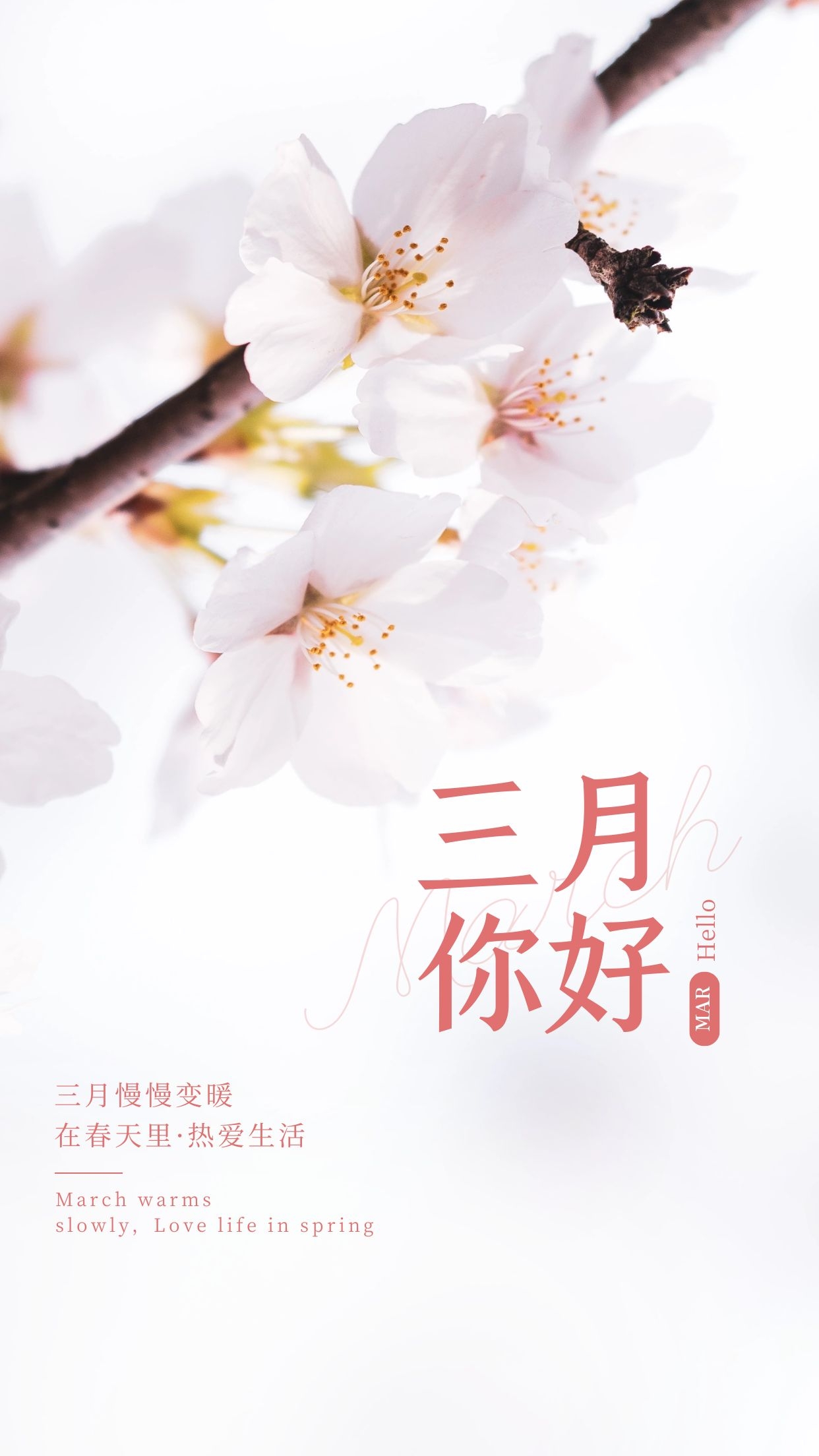 3月,你好,加油!感受生活的美好!