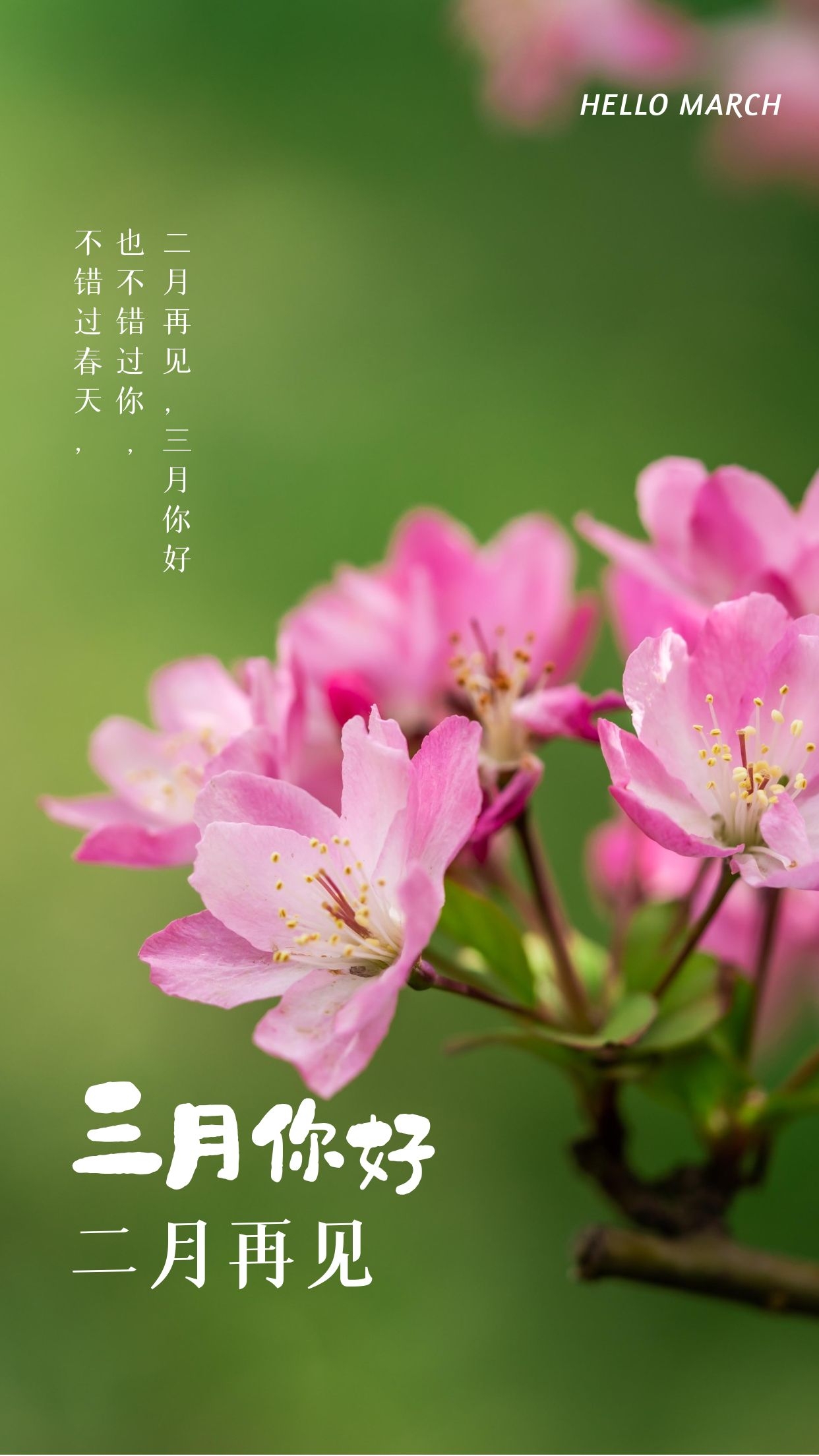 三月你好图片配图唯美高清带字，适合3月的文案简短句子