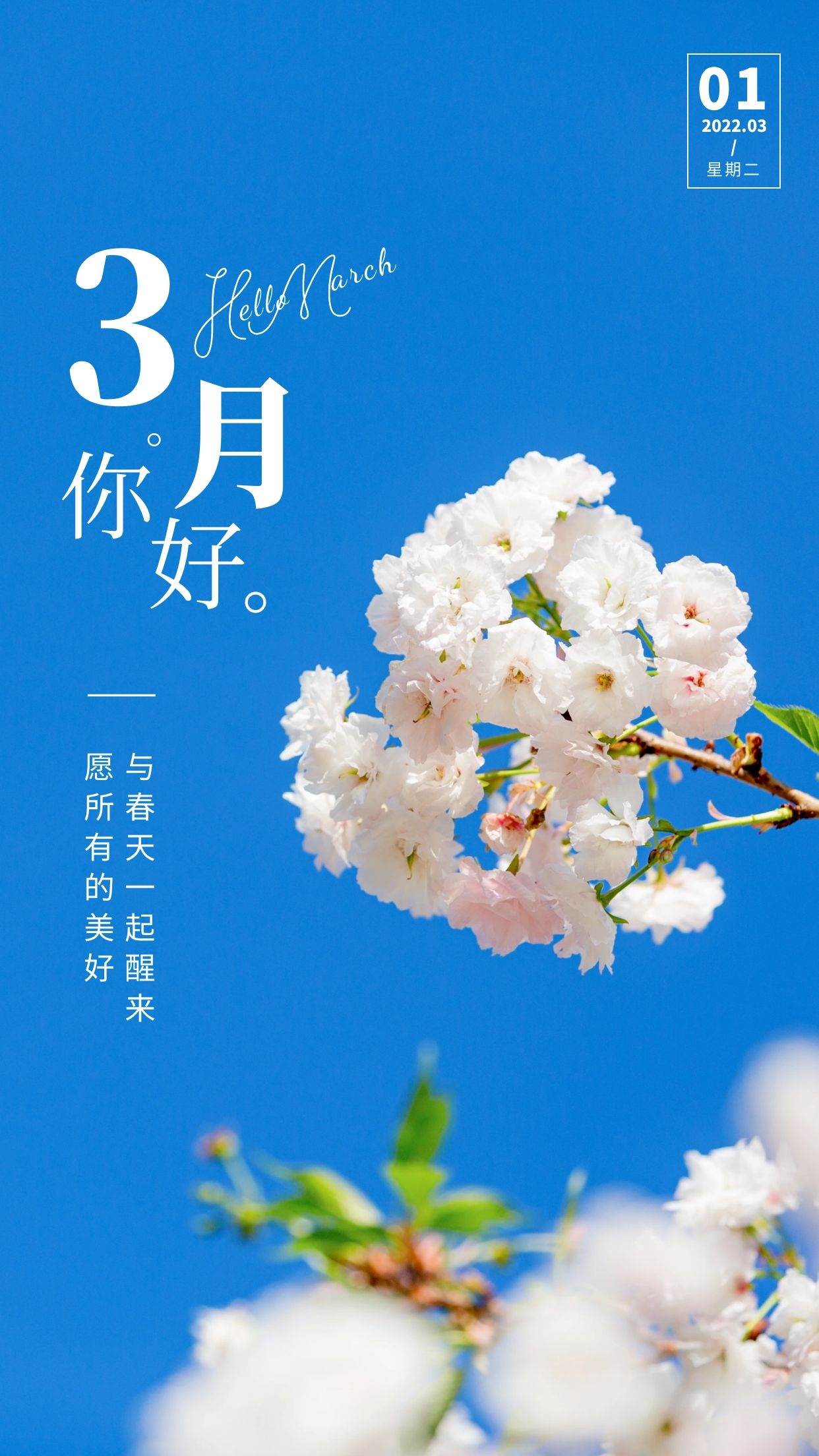 三月你好图片配图唯美高清带字，适合3月的文案简短句子