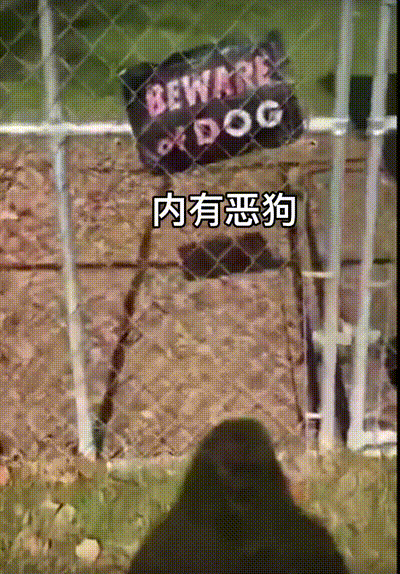 搞笑GIF：有些人表面风光，私底下