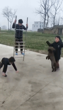 动态图18张：对飚广场舞，感觉好刺激！