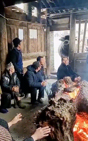 老公，说出来你可能不信，草莓是猫吸的