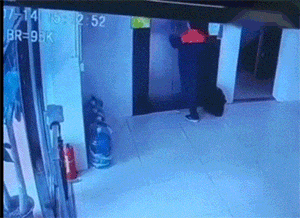 老公，说出来你可能不信，草莓是猫吸的