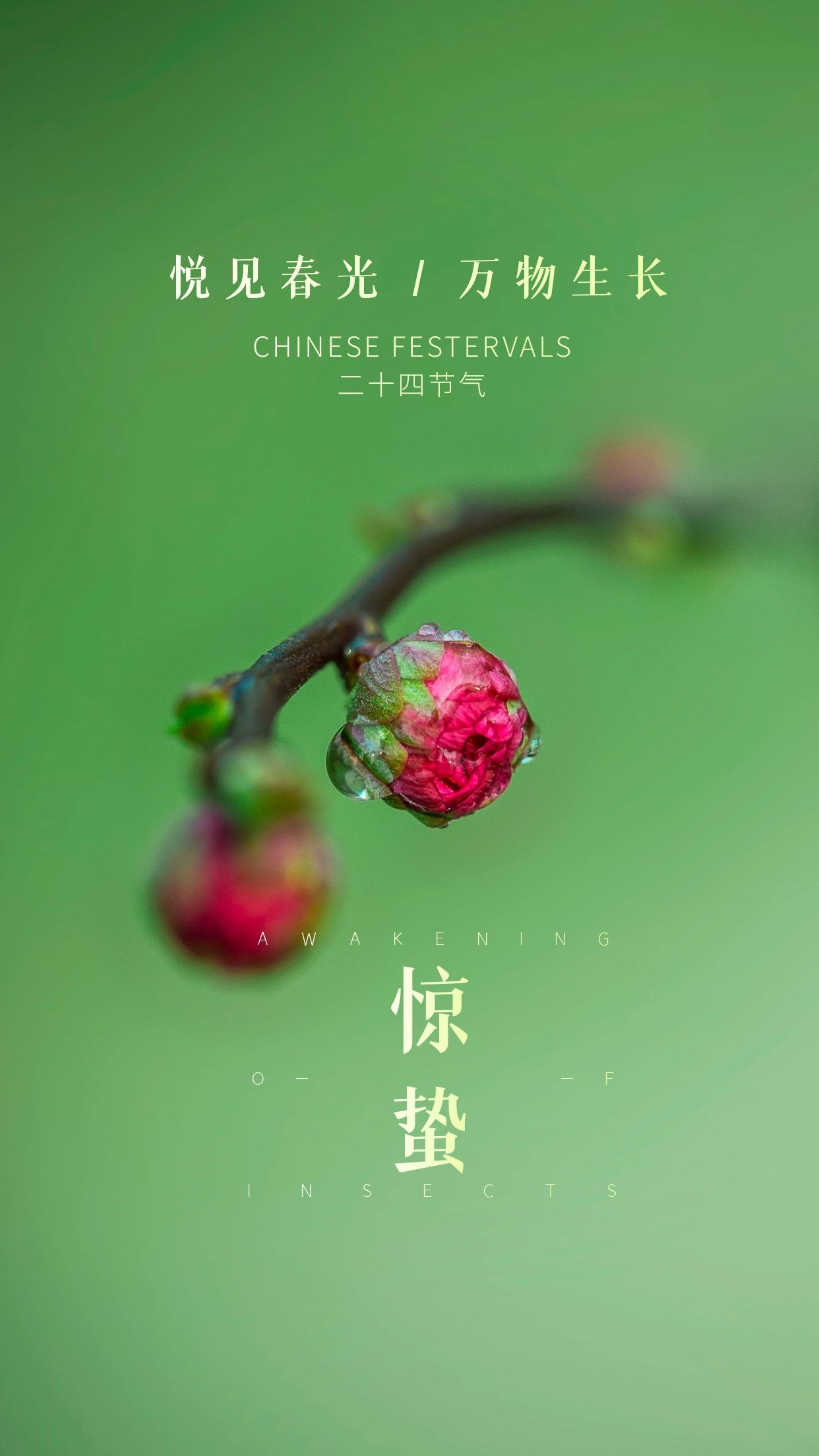 惊蛰图片配图唯美高清带字大全，惊蛰朋友圈抖音文案祝福语句子