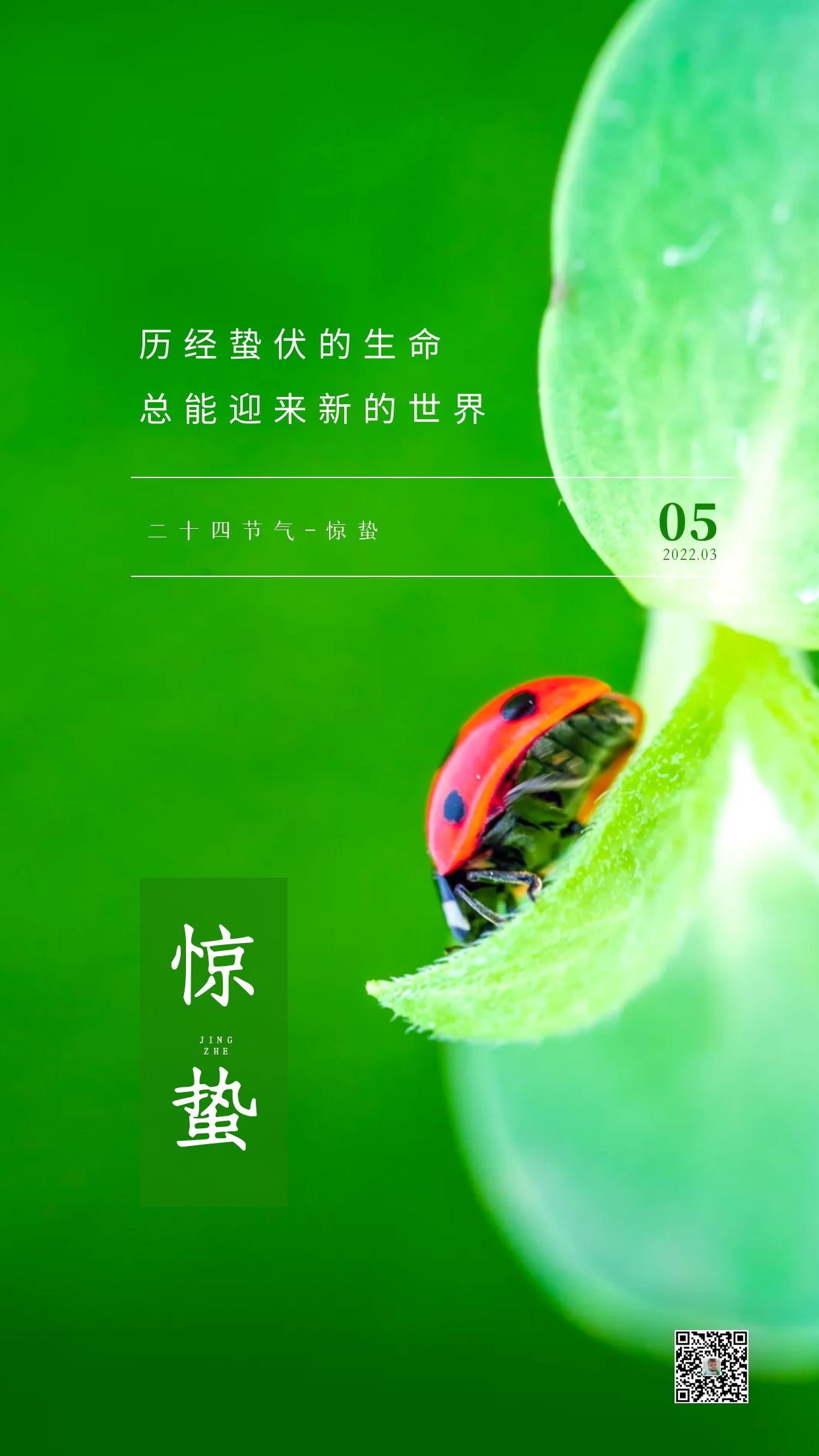 惊蛰图片配图唯美高清带字大全，惊蛰朋友圈抖音文案祝福语句子