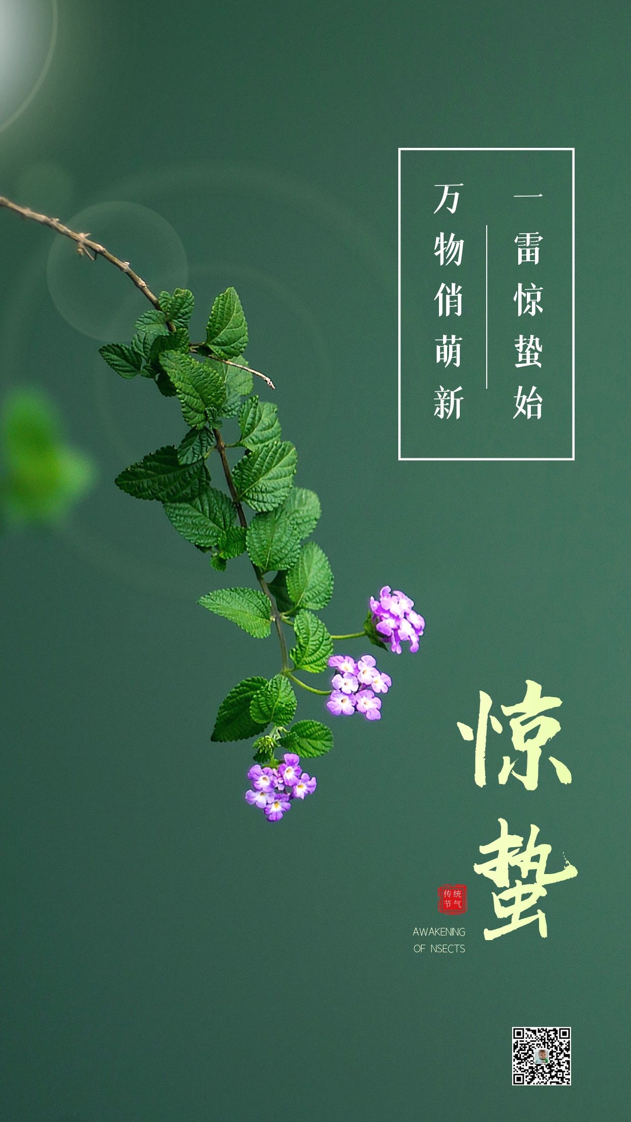 惊蛰图片配图唯美高清带字大全，惊蛰朋友圈抖音文案祝福语句子